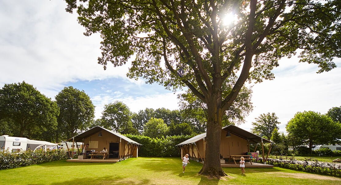 Safari tent glamping